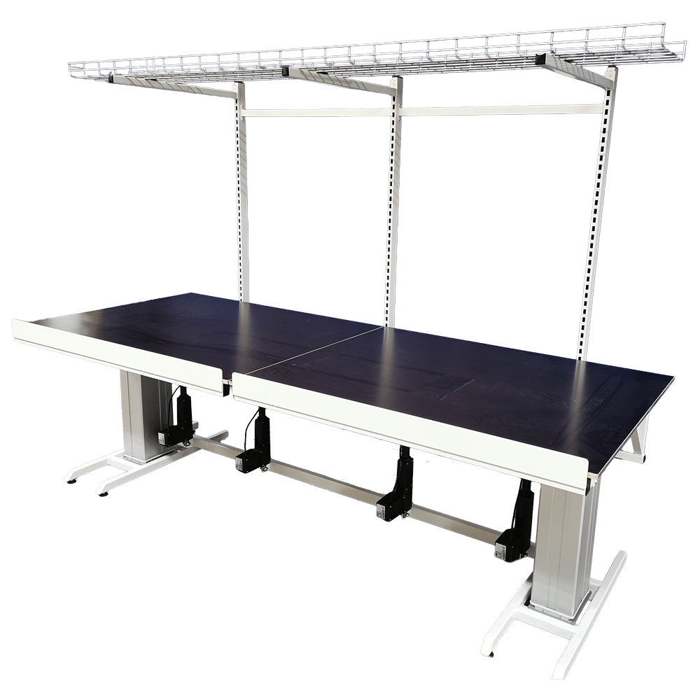 12 erg-o-lift 300 dual vip til HJ