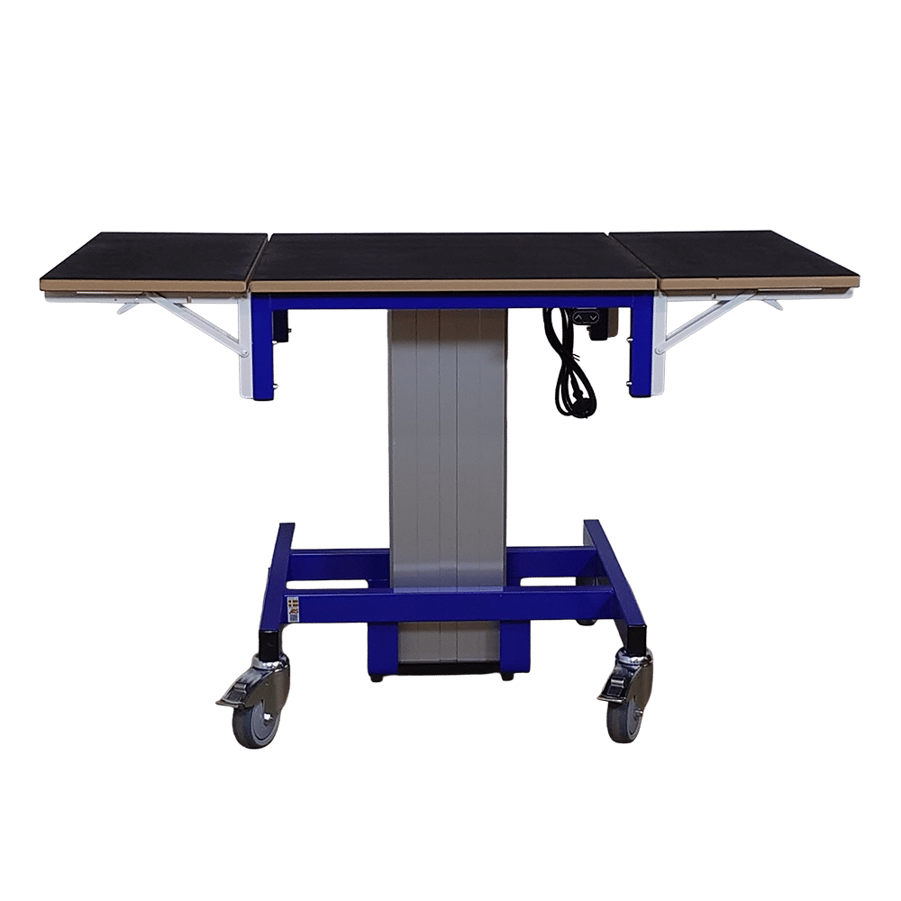 Ergonomic Lift Table 1erg-o-lift single 300 for HJ